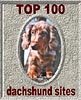 Hier gehts zur Topliste! TOP100 dachshund sites